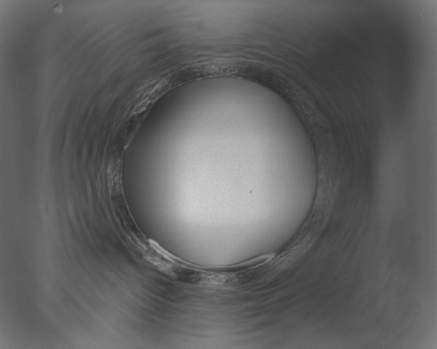 X0000076330096200610201716