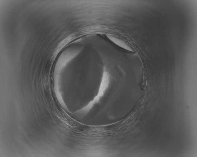 X0000076330099200610201715