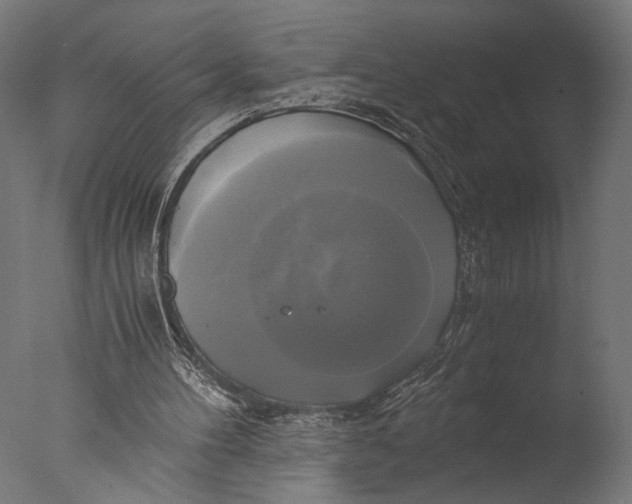 X0000076330100200610201715