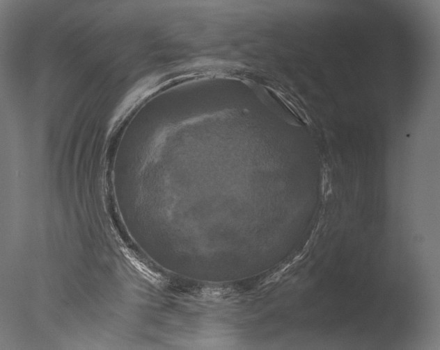 X0000076330101200610201715
