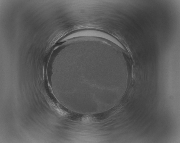 X0000076330109200610201715