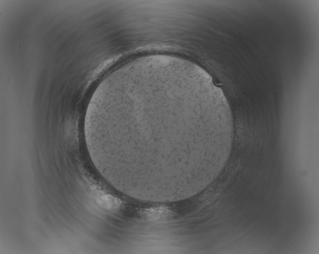 X0000076330112200610201715