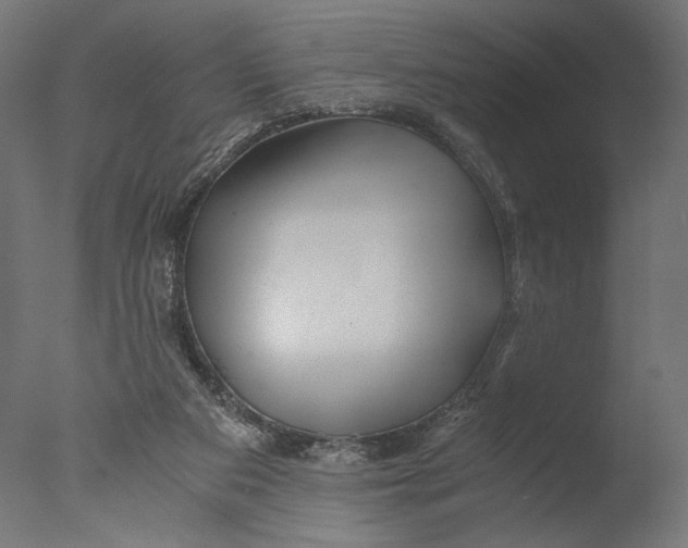 X0000076330113200610201715