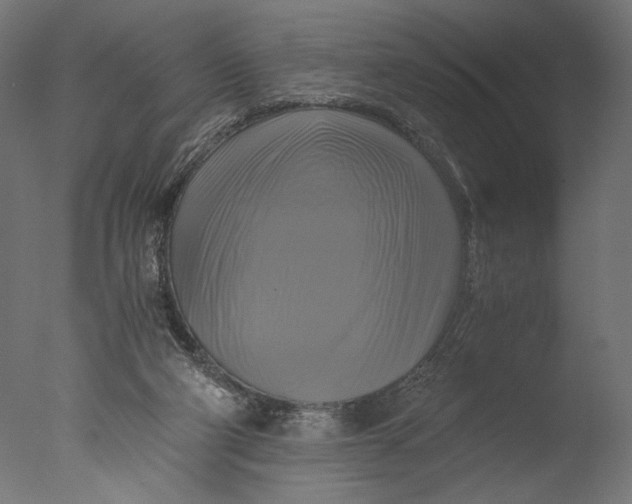 X0000076330114200610201715