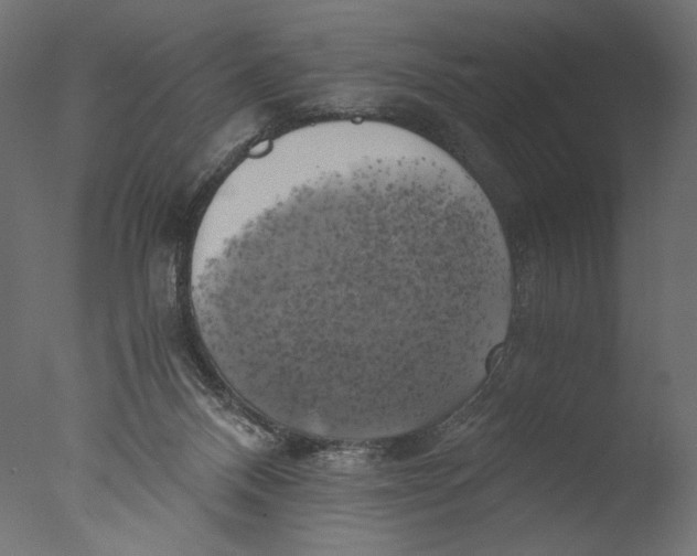 X0000076330120200610201715