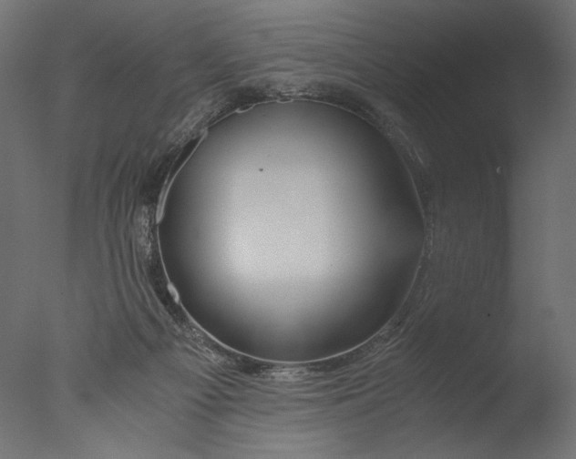 X0000076330121200610201715