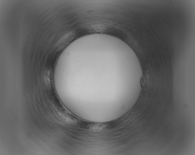 X0000076330122200610201715