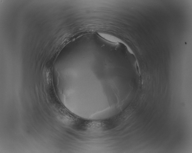X0000076330123200610201715