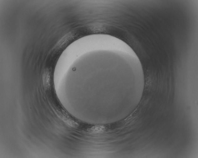 X0000076330124200610201715