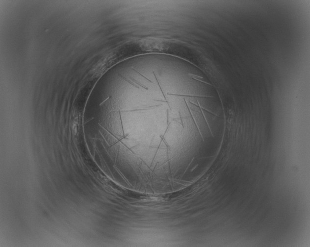 X0000076330125200610201715
