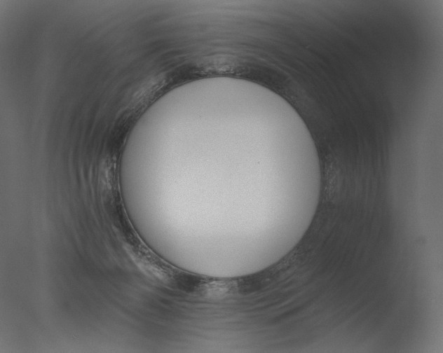 X0000076330126200610201715
