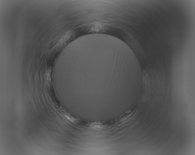 X0000076330127200610201715