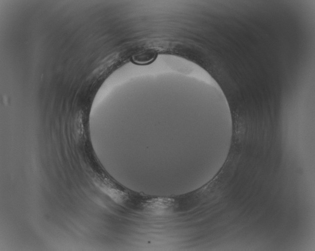 X0000076330128200610201715