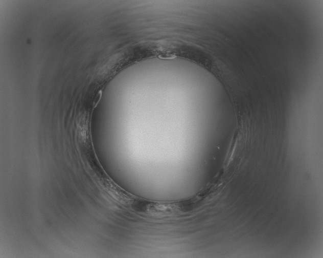 X0000076330129200610201715