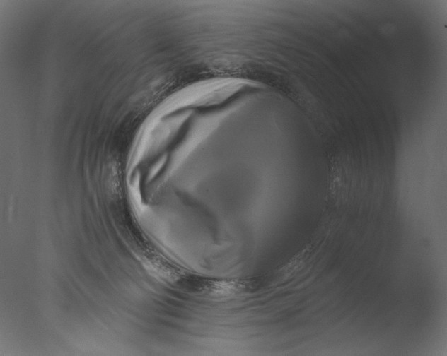 X0000076330130200610201715