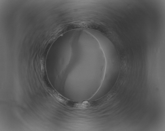 X0000076330131200610201715