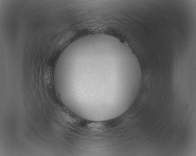 X0000076330133200610201714