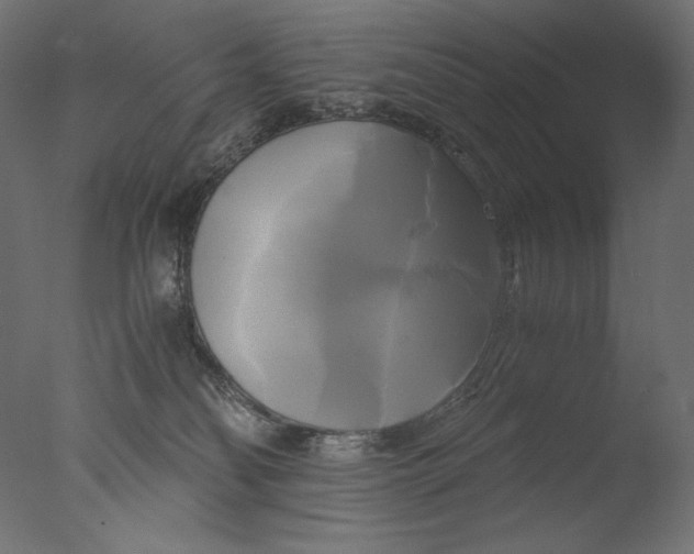 X0000076330134200610201714