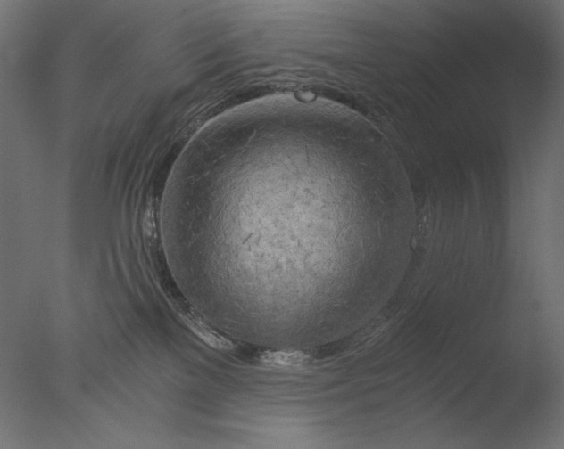 X0000076330137200610201714