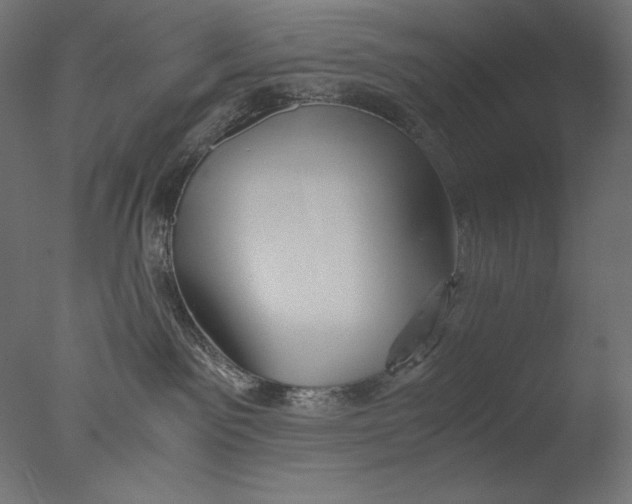 X0000076330141200610201714