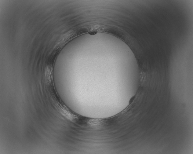 X0000076330142200610201714