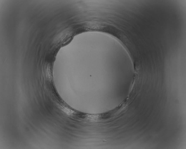 X0000076330143200610201714