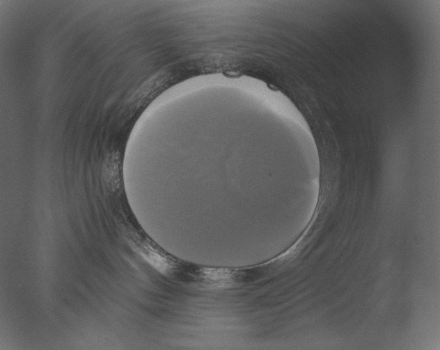 X0000076330144200610201714