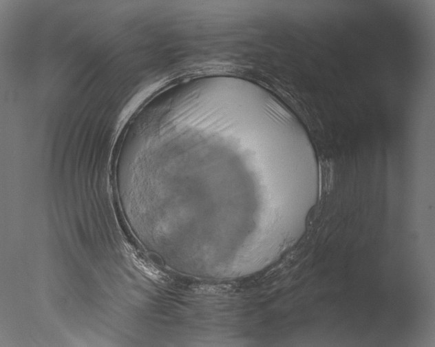 X0000076330147200610201713