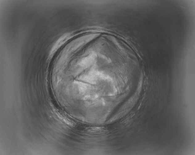 X0000076330151200610201714
