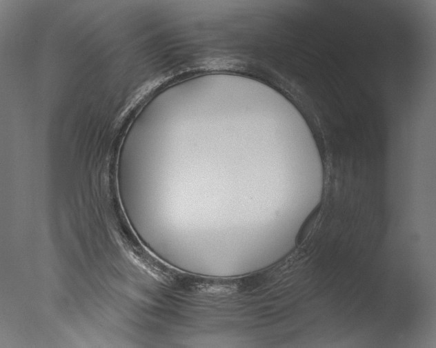 X0000076330155200610201714
