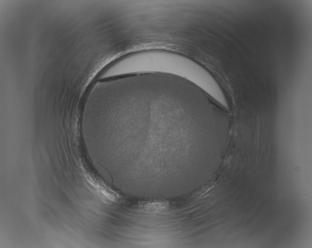 X0000076330156200610201714