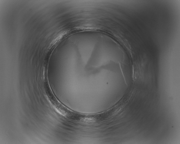 X0000076330157200610201714