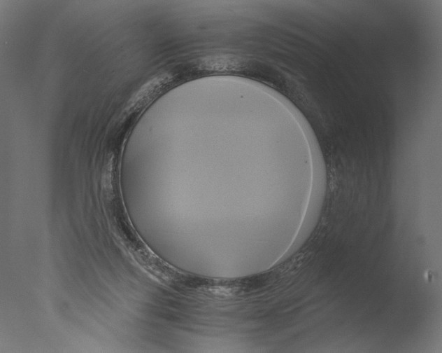X0000076330163200610201714