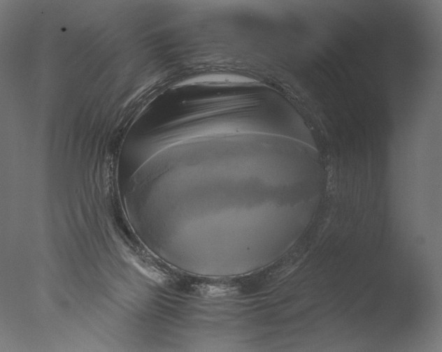 X0000076330165200610201714