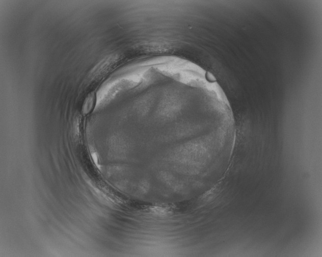 X0000076330166200610201714