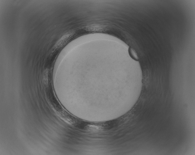 X0000076330167200610201714