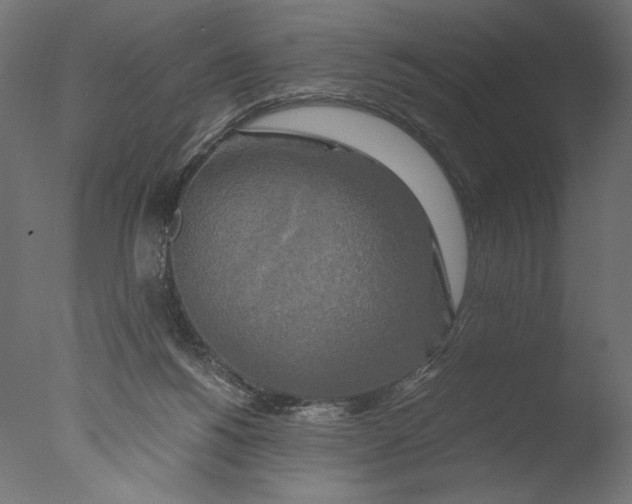 X0000076330168200610201714