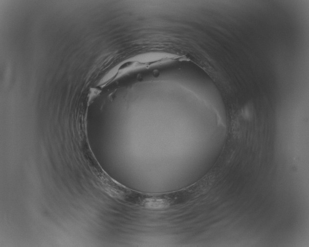 X0000076330169200610201714