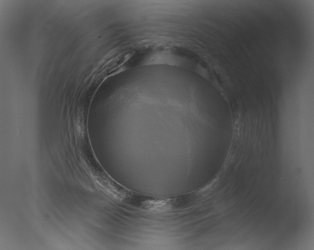 X0000076330170200610201714
