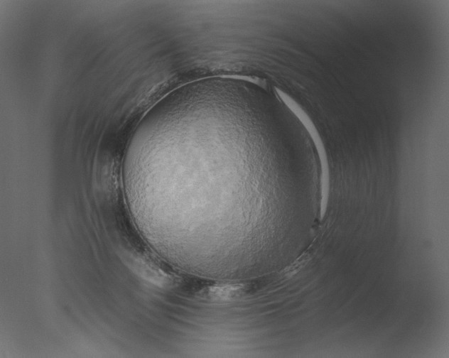 X0000076330172200610201714