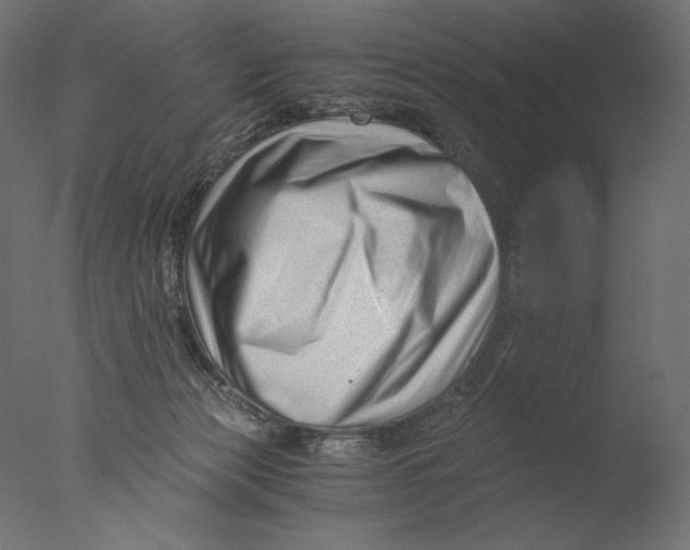 X0000076330173200610201714