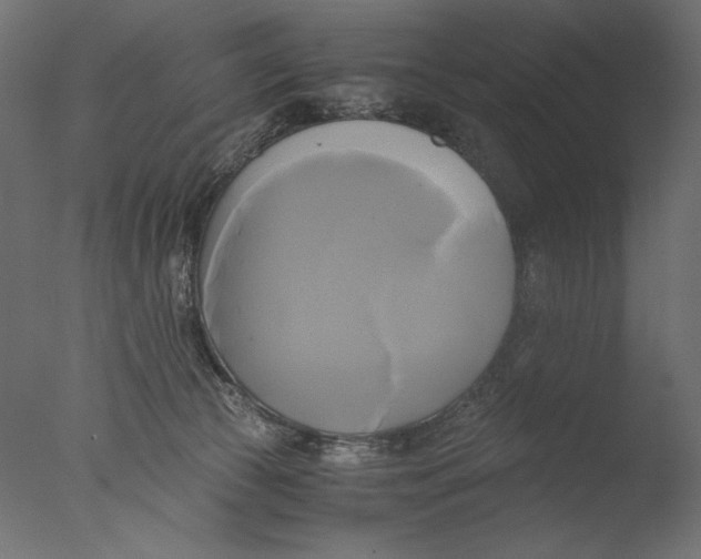 X0000076330177200610201714