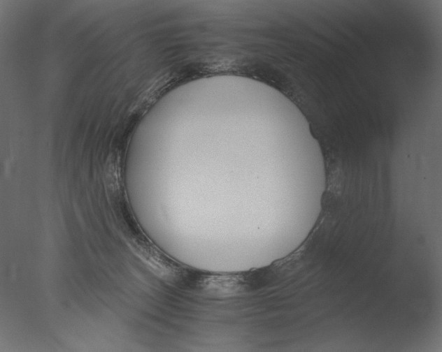 X0000076330179200610201714