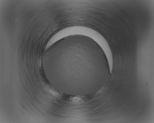 X0000076330180200610201714