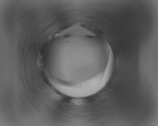 X0000076330181200610201714