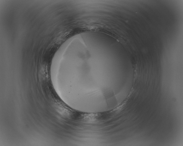 X0000076330182200610201714