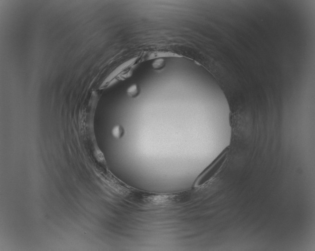 X0000076330184200610201714
