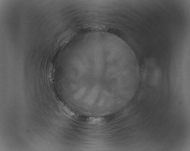 X0000076330185200610201714