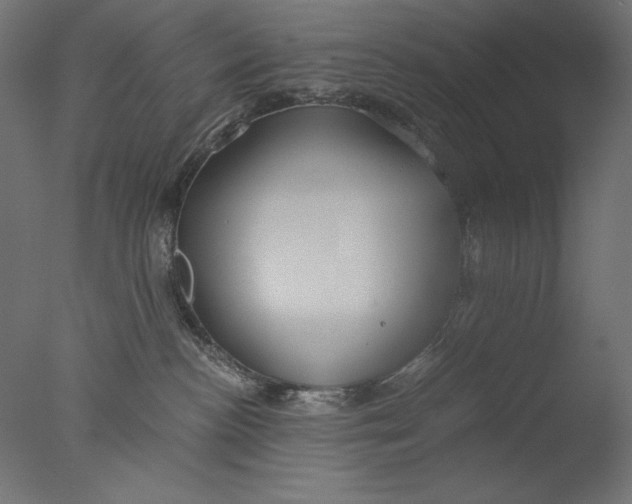 X0000076330188200610201714