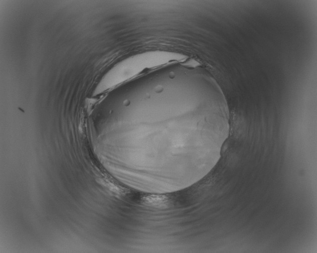 X0000076330189200610201714